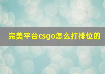 完美平台csgo怎么打排位的