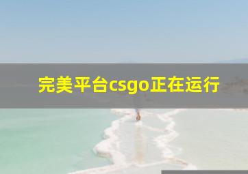 完美平台csgo正在运行