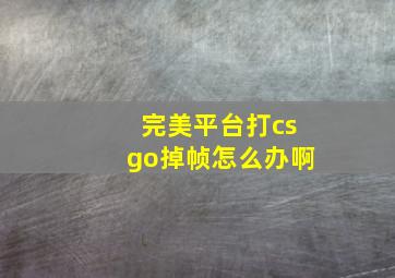 完美平台打csgo掉帧怎么办啊