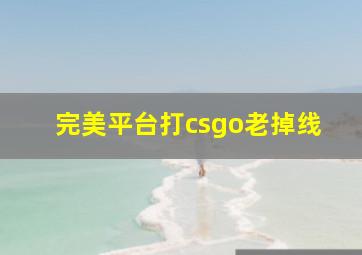 完美平台打csgo老掉线