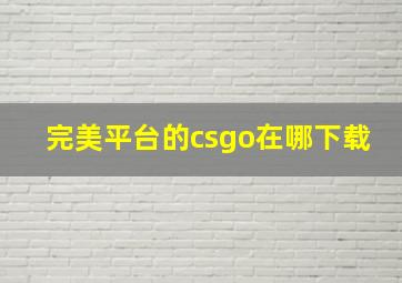 完美平台的csgo在哪下载