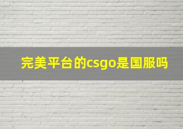 完美平台的csgo是国服吗