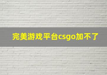 完美游戏平台csgo加不了