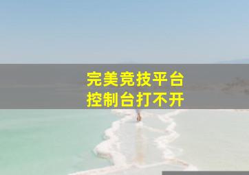 完美竞技平台控制台打不开