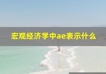 宏观经济学中ae表示什么