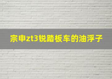 宗申zt3锐踏板车的油浮子