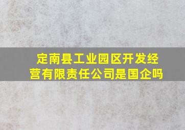 定南县工业园区开发经营有限责任公司是国企吗