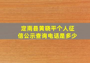 定南县黄晓平个人征信公示查询电话是多少