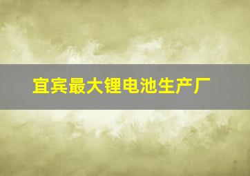 宜宾最大锂电池生产厂