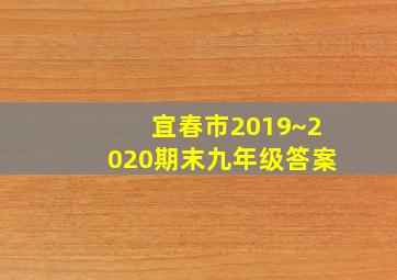 宜春市2019~2020期末九年级答案