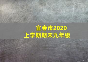 宜春市2020上学期期末九年级