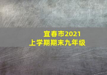 宜春市2021上学期期末九年级