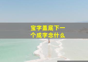 宝字盖底下一个成字念什么