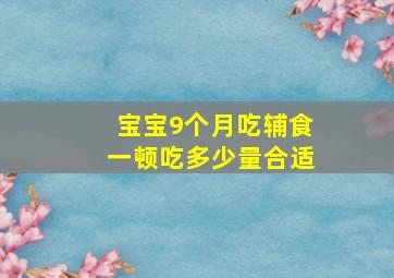 宝宝9个月吃辅食一顿吃多少量合适