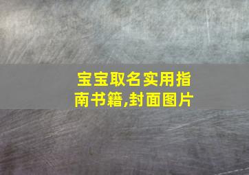 宝宝取名实用指南书籍,封面图片