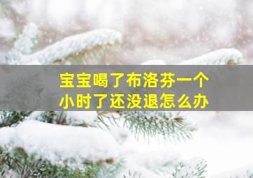 宝宝喝了布洛芬一个小时了还没退怎么办