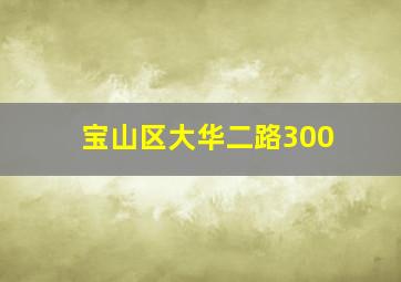 宝山区大华二路300