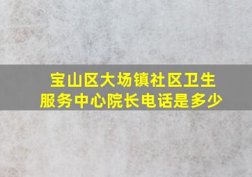 宝山区大场镇社区卫生服务中心院长电话是多少