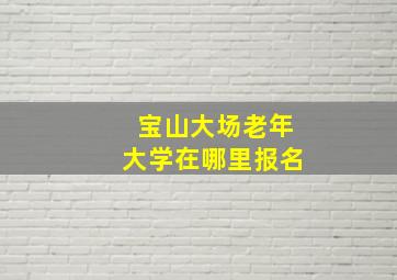 宝山大场老年大学在哪里报名