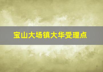 宝山大场镇大华受理点