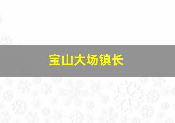 宝山大场镇长