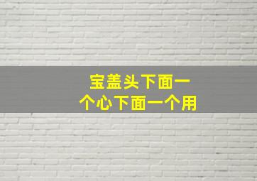 宝盖头下面一个心下面一个用