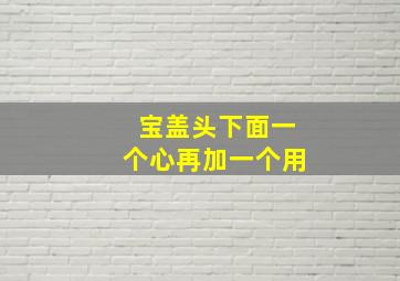 宝盖头下面一个心再加一个用