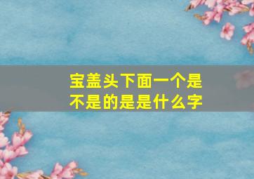 宝盖头下面一个是不是的是是什么字