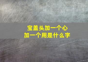 宝盖头加一个心加一个用是什么字