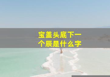 宝盖头底下一个辰是什么字