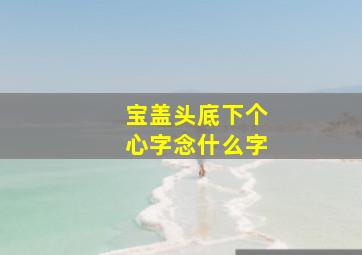 宝盖头底下个心字念什么字