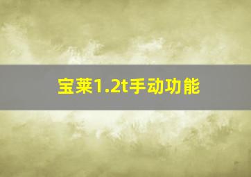 宝莱1.2t手动功能