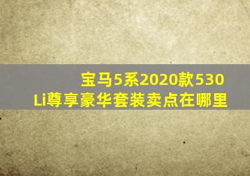 宝马5系2020款530Li尊享豪华套装卖点在哪里