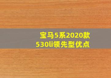 宝马5系2020款530li领先型优点