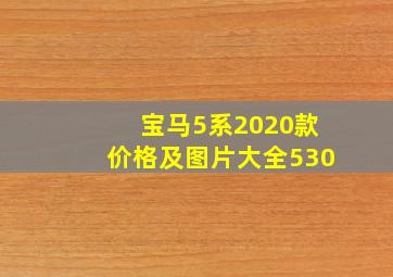 宝马5系2020款价格及图片大全530