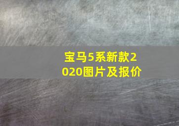 宝马5系新款2020图片及报价