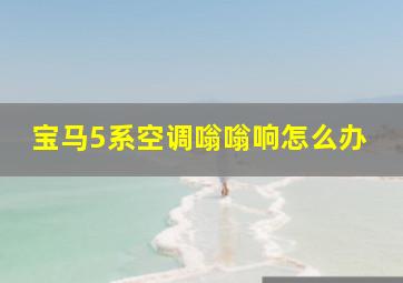 宝马5系空调嗡嗡响怎么办