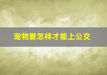 宠物要怎样才能上公交