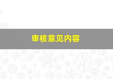 审核意见内容