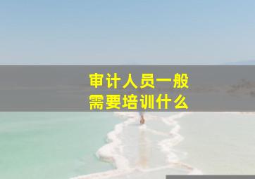 审计人员一般需要培训什么