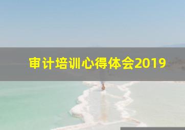 审计培训心得体会2019