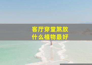 客厅穿堂煞放什么植物最好