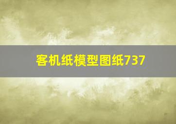 客机纸模型图纸737