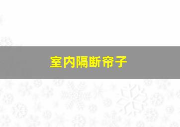 室内隔断帘子