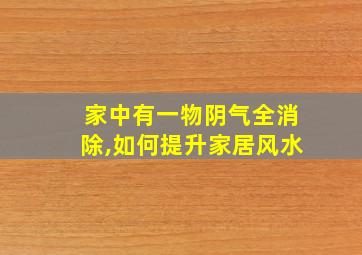 家中有一物阴气全消除,如何提升家居风水