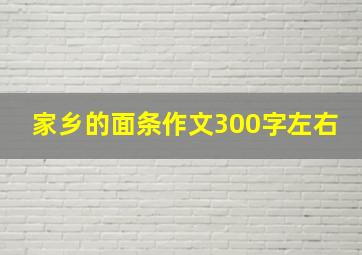 家乡的面条作文300字左右