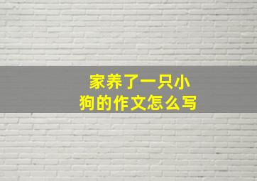 家养了一只小狗的作文怎么写