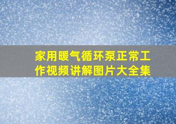 家用暖气循环泵正常工作视频讲解图片大全集