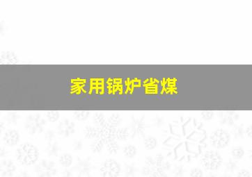 家用锅炉省煤