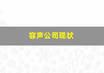 容声公司现状